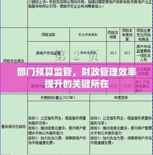 部门预算监管，财政管理效率提升的关键所在