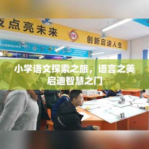 小学语文探索之旅，语言之美启迪智慧之门