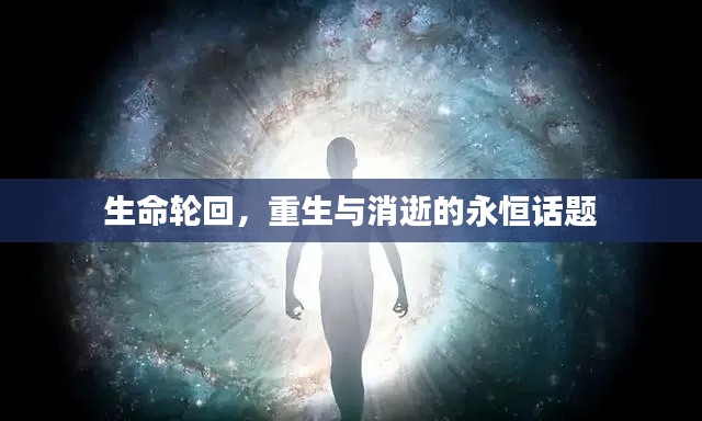 生命轮回，重生与消逝的永恒话题
