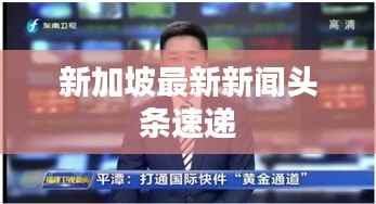 新加坡最新新闻头条速递