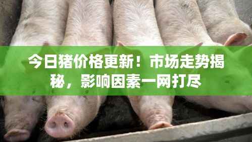 今日猪价格更新!市场走势揭秘,影响因素一网打尽