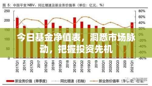 今日基金净值表，洞悉市场脉动，把握投资先机