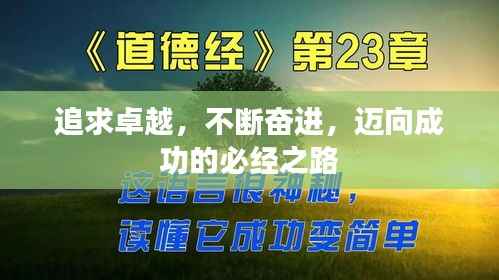追求卓越,不断奋进,迈向成功的必经之路