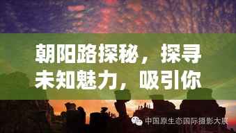 朝阳路探秘,探寻未知魅力,吸引你的目光!