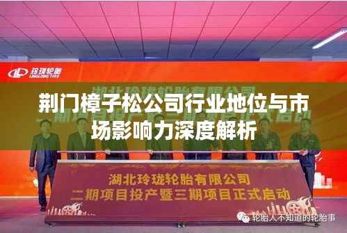 荆门樟子松公司行业地位与市场影响力深度解析