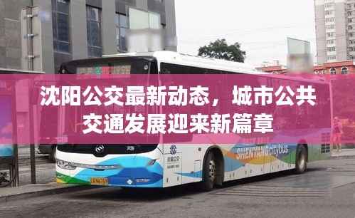 沈阳公交最新动态，城市公共交通发展迎来新篇章