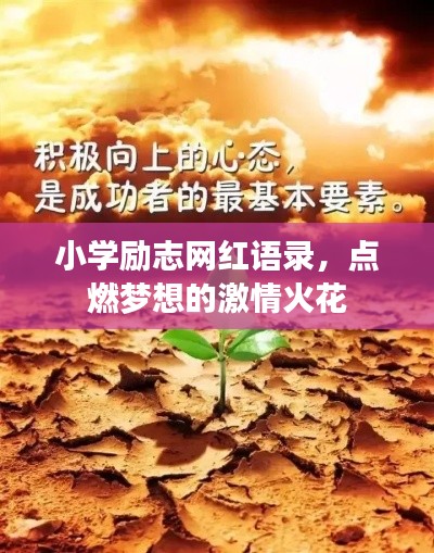 小学励志网红语录，点燃梦想的激情火花