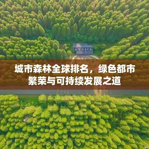 城市森林全球排名,绿色都市繁荣与可持续发展之道
